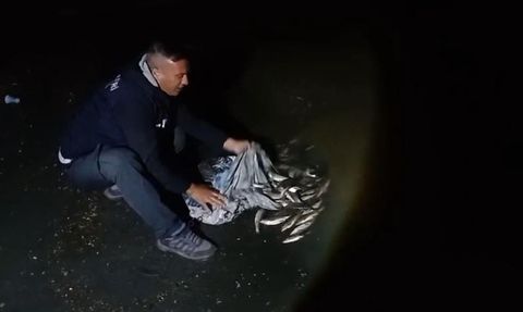 Van'da kaçak avlanan inci kefalleri koruma altına alındı