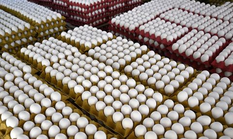 Yumurta Fiyatlarındaki Düşüşün Nedenleri ve Etkileri