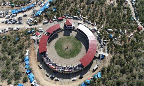 Yusufeli'de Boğa Güreşleri Heyecanı