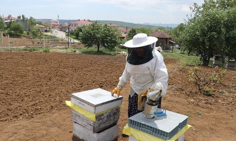 47 Yıldır Arıcılıkla Uğraşan Tekirdağlı Kadın