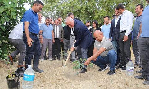 Alanya Keçiboynuzu Coğrafi İşaret Tescilini Aldı