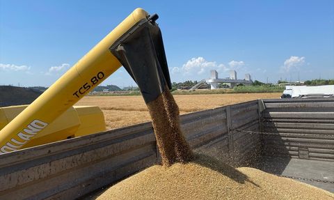 Antalya'da Buğday Hasadı Başladı