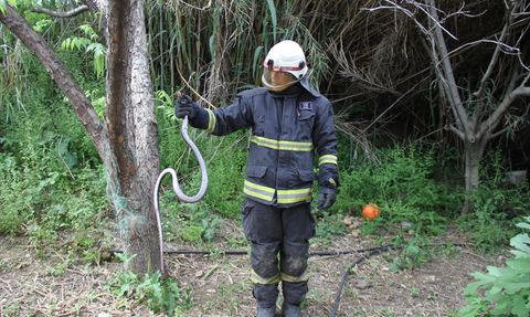 Antalya'da Yıla Kurtarma Operasyonu