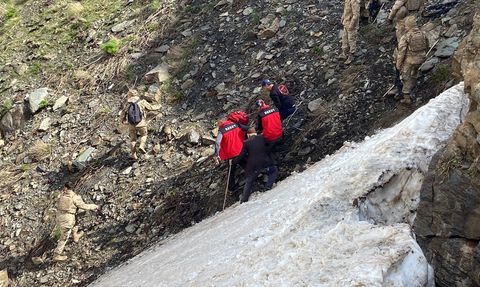 Bitlis'te Pancar Toplamak İçin Dağa Giden Kadın Hayatını Kaybetti