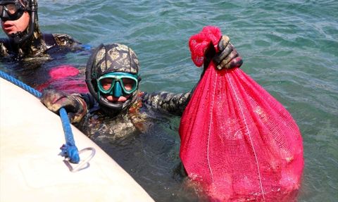 Bodrum'da Dalgıçlar 223 Kilogram Atık Topladı