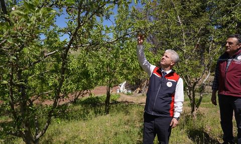 Çankırı'da Zirai Don İncelemesi