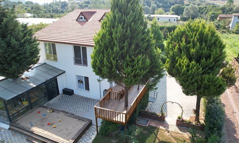 Doğasever Çiftin Eşsiz Kreş Projesi: Ağaçları Koruyarak Eğitime Katkı