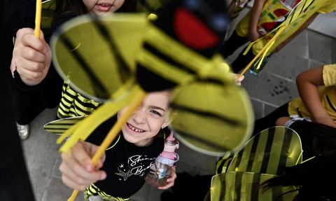 Düzce'de Dünya Arı Günü Farkındalık Etkinliği