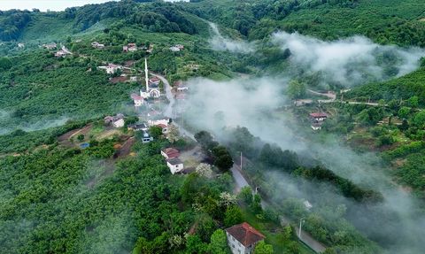 Düzce'de Sis Denizinin Estetik Görüntüsü