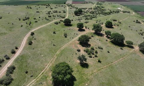 Edirne'de Meraların Sulama Sistemiyle Verimliliği Artırılıyor