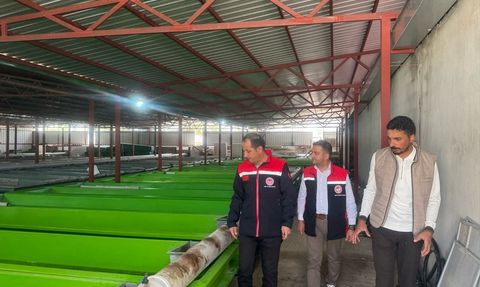 Erzincan'da Su Ürünleri Üretim Kapasitesi Artıyor