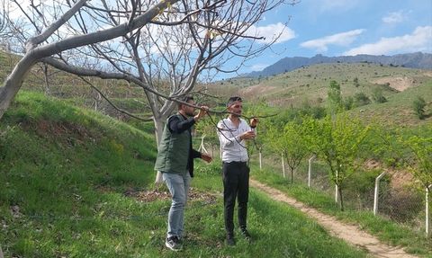 Erzincan'da Zirai Don İncelemesi