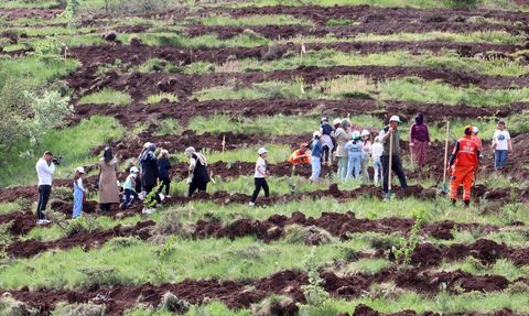 Erzurum'da TBMM'nin 105. Yılı Anısına 105 Bin Fidan Dikimi Gerçekleşti