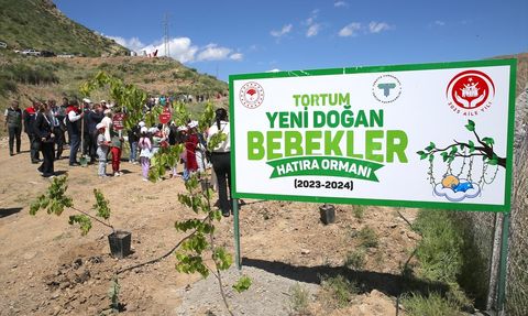 Erzurum'da Yeni Doğan Bebekler İçin Hatıra Ormanı