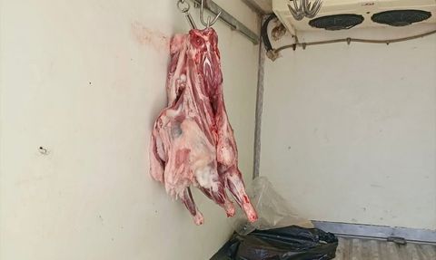 Hatay'da Kaçak Et Ele Geçirildi