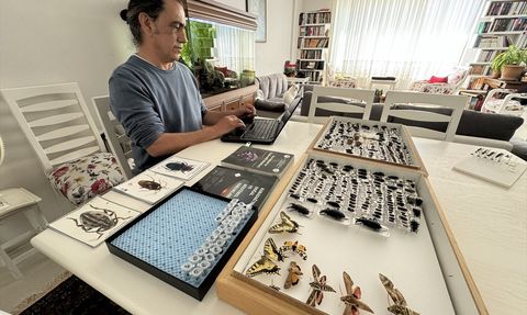 Karaman'da Yeni Böcek Türleri: Aile Adlarıyla Literatüre Kazandırıldı