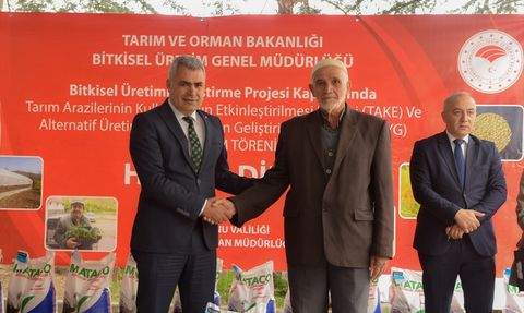 Kastamonu'da Yem Maliyetlerini Düşüren Proje: Sorgum Sudan Otu Melezi