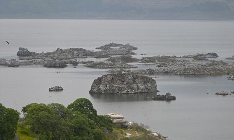Manisa'daki Lav Kalıntıları Göçmen Kuşların Yeni Cenneti