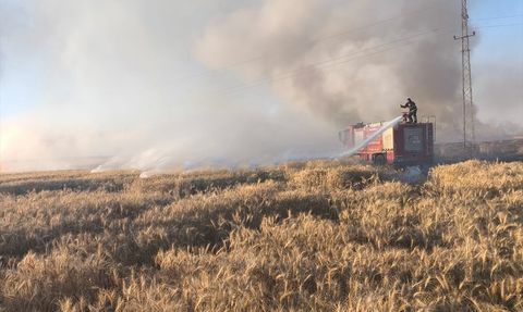 Mardin'deki Yangınlar 155 Dönüm Buğday Alanını Etkiledi