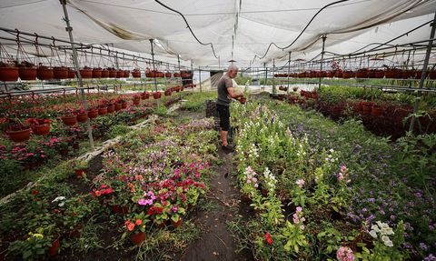 Mersin'de Anneler Günü Öncesi Çiçek Mezatları Canlandı