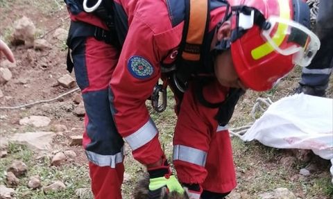 Muğla'da Hayvan Kurtarma Operasyonu