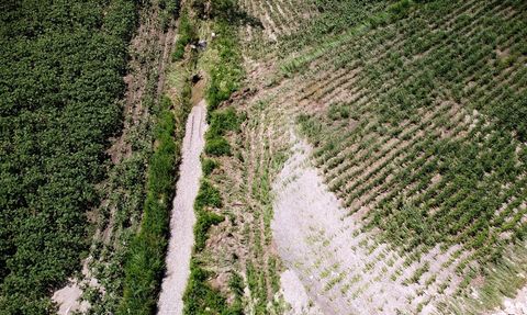 Osmaniye'de Sağanak ve Dolu Tarım Arazilerine Zarar Verdi