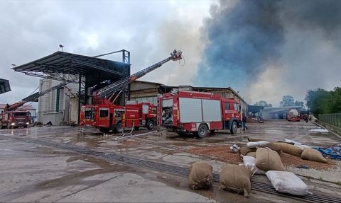 Sakarya'daki Fındık Kırım Fabrikasında Yangın Çıktı