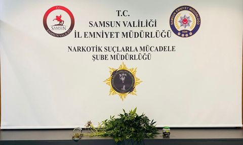 Samsun'da Kenevir Yetiştiriciliği Operasyonu