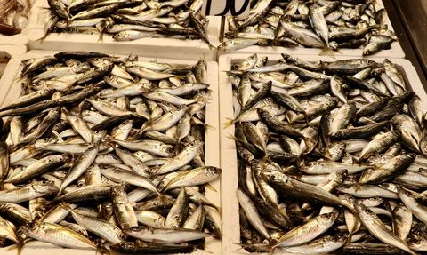 Trabzon'daki Balık Pazarında Çeşitlilik Artıyor