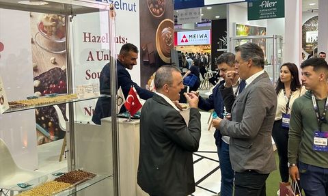 Türk Fındığı Brezilya'da Tanıtıldı