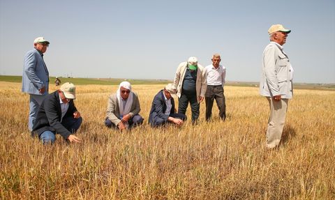 TZOB Genel Başkanı Şemsi Bayraktar, Diyarbakır'daki Kuraklık Sorununu İnceledi