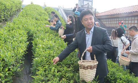 Uluslararası Çay Günü Kutlamaları Rize'de Gerçekleşti