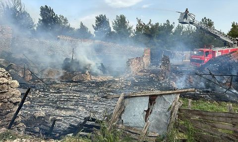 Uşak'ta Ahır Yangını: 54 Kuzu Telef Oldu