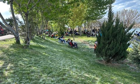 Van'da Polen Yoğunluğu Artıyor: Alerjik Şikayetlere Dikkat!