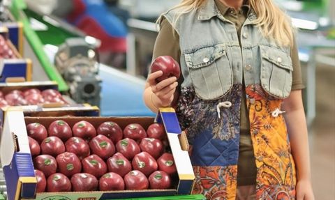 Yeni Nesil Çiftçiler: Isparta'da Elma Üretiminde Yenilikçi Yöntemler