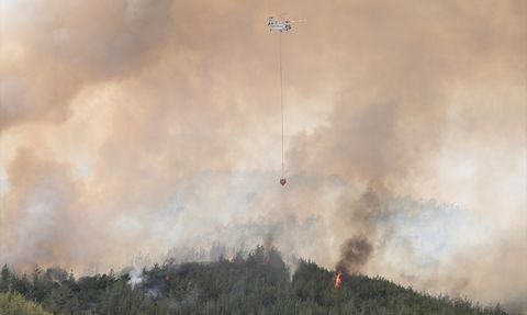 Adana'da Orman Yangını Kontrol Altına Alındı