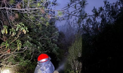 Adana İmamoğlu'nda Orman Yangını Kontrol Altına Alındı