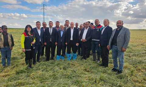 Aksaray'da Zirai Dondan Etkilenme İncelemesi