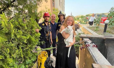 Ankara'da İtfaiye Ekipleri Havalandırma Boşluğuna Düşen Kediyi Kurtardı