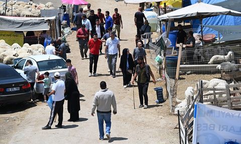 Ankara'da Kurban Bayramı Yoğunluğu Sürüyor