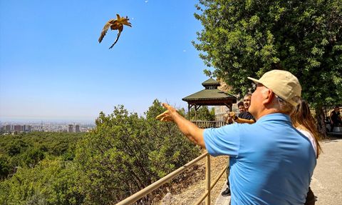 Antalya'da 7 Kerkenez Kuşu Doğaya Salındı