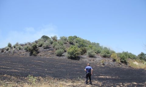 Antalya'da Zeytinlik Yangını Kontrol Altına Alındı