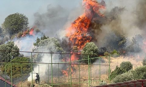 Aydın'da Kontrol Altına Alınan Yangınlar