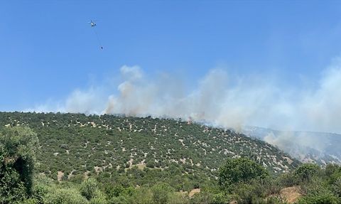Balıkesir'de Arazide Yangın: Müdahale Devam Ediyor
