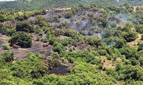 Balıkesir'deki Orman Yangını Kontrol Altına Alındı