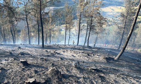 Balıkesir'de Orman Yangınına Müdahale