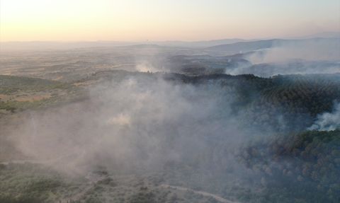 Balıkesir'de Orman Yangınları İçin 5 Gözaltı