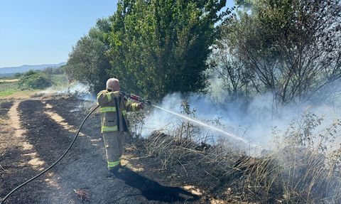 Balıkesir'de Yangın: 12 Dekar Arpa Tarlası Zarar Gördü
