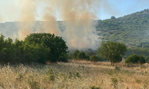 Balıkesir Sındırgı'da Tarım Arazisinde Yangın!