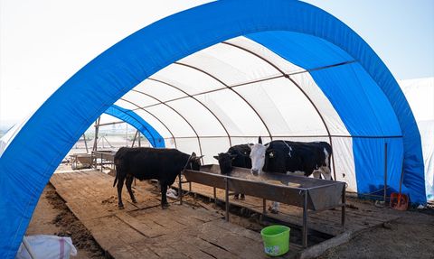 Başkentte Kurbanlık Satışları Sona Erdi